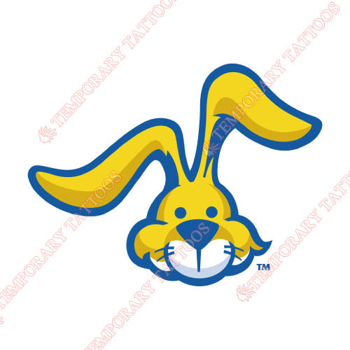 South Dakota State Jackrabbits Customize Temporary Tattoos Stickers NO.6232